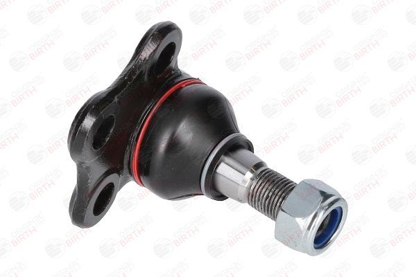 Šarnyras / girgždukas BIRTH CX9289