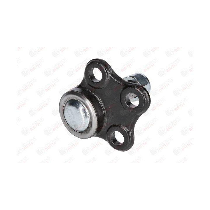 Šarnyras / girgždukas BIRTH CX9289