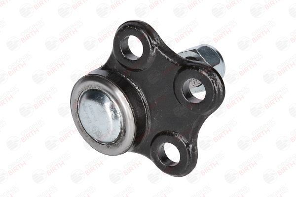 Šarnyras / girgždukas BIRTH CX9289