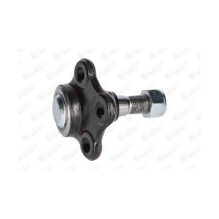 Šarnyras / girgždukas BIRTH CX9289