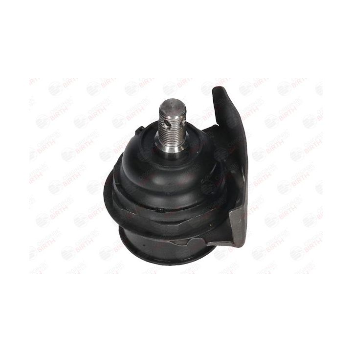 Šarnyras / girgždukas BIRTH CX9294