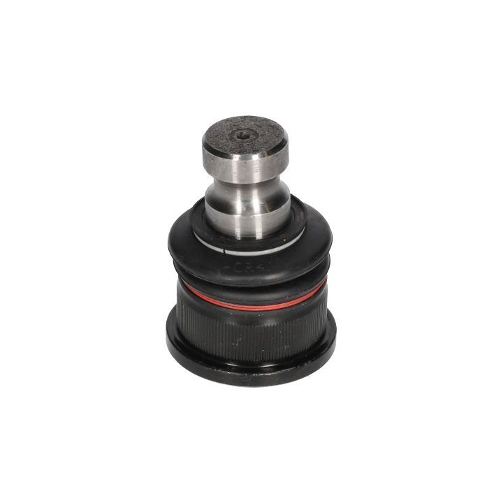 Šarnyras / girgždukas BIRTH CX9299