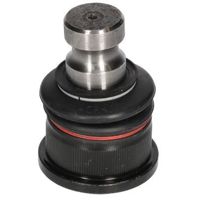 Šarnyras / girgždukas BIRTH CX9299