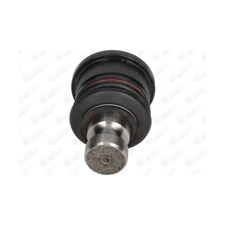 Šarnyras / girgždukas BIRTH CX9299