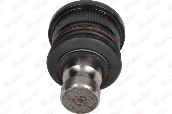 Šarnyras / girgždukas BIRTH CX9299