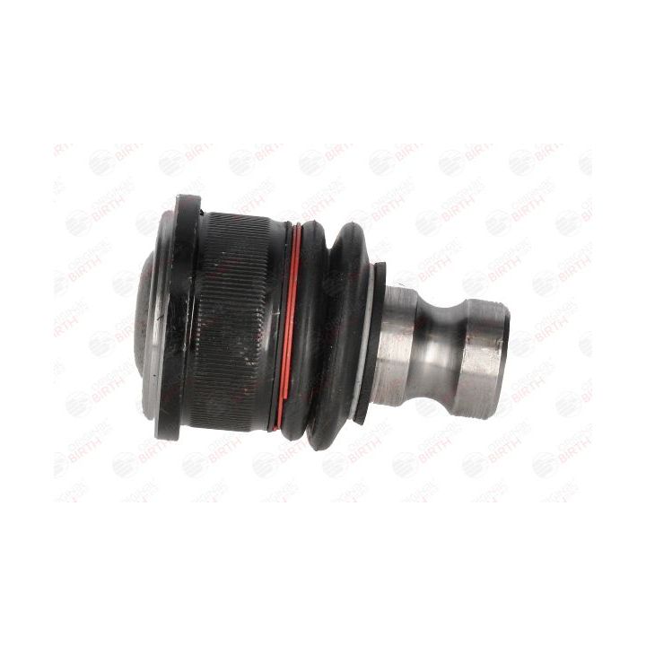 Šarnyras / girgždukas BIRTH CX9299