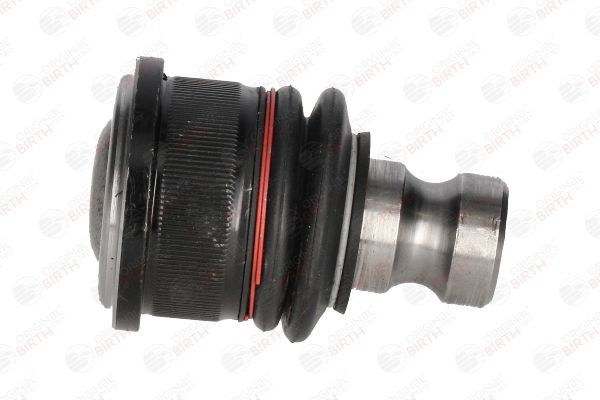 Šarnyras / girgždukas BIRTH CX9299