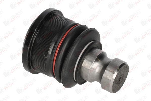 Šarnyras / girgždukas BIRTH CX9299