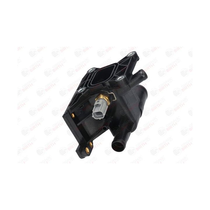 Aušinimo skysčio jungė BIRTH 80048