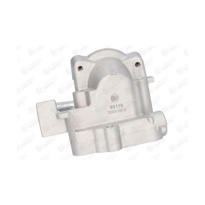 Aušinimo skysčio jungė BIRTH 80110