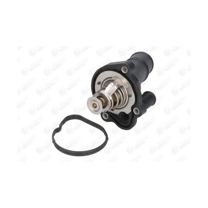 Aušinimo skysčio jungė BIRTH 80194