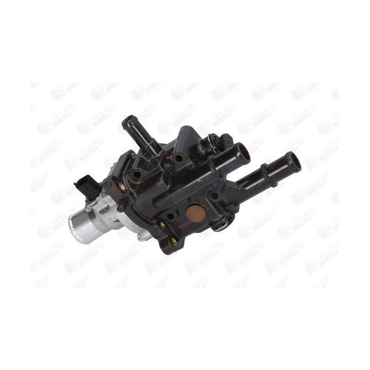 Aušinimo skysčio jungė BIRTH 80425