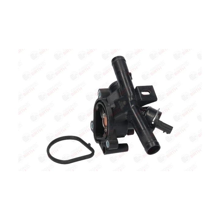 Aušinimo skysčio jungė BIRTH 81069