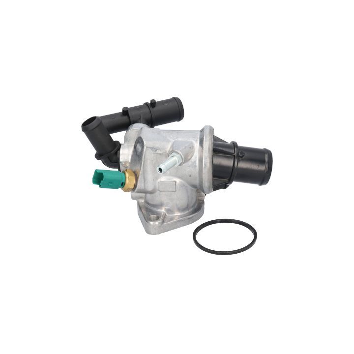 Aušinimo skysčio jungė BIRTH 81122