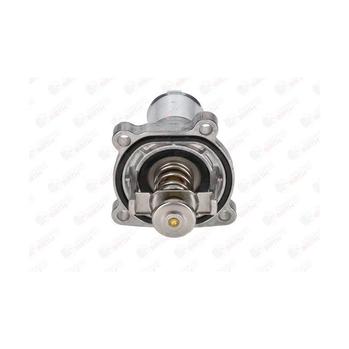 Aušinimo skysčio jungė BIRTH 81759