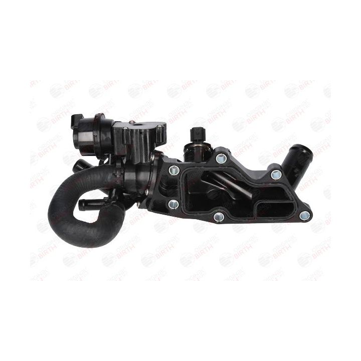 Aušinimo skysčio jungė BIRTH 81797