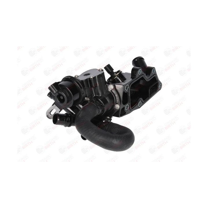 Aušinimo skysčio jungė BIRTH 81797