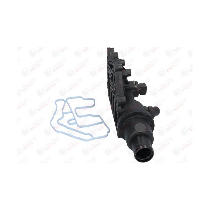 Dangtelis, pavaros diržas BIRTH 8897