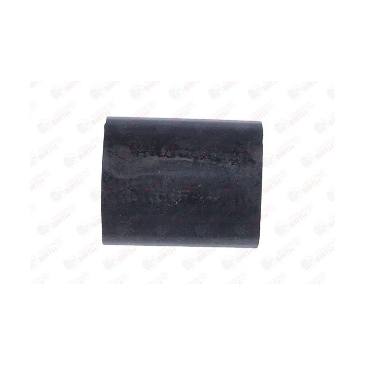 Kompresoriaus padavimo žarna BIRTH 55803