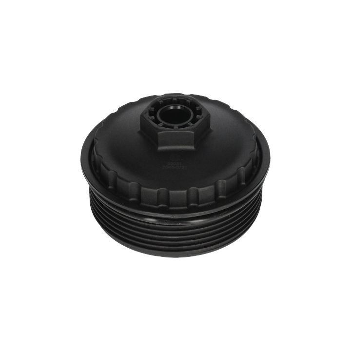 Dangtis, alyvos filtro korpusas BIRTH 80031