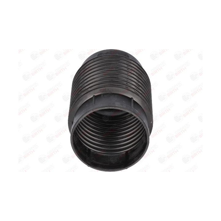 Apsauginis dangtelis/gofruotoji membrana, amortizatorius BIRTH 51121