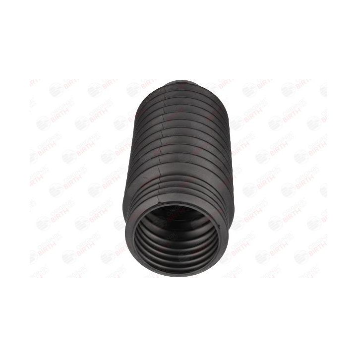 Apsauginis dangtelis/gofruotoji membrana, amortizatorius BIRTH 52448