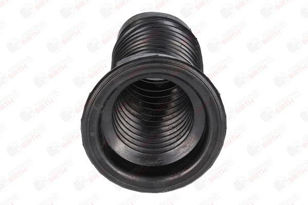 Apsauginis dangtelis/gofruotoji membrana, amortizatorius BIRTH 53218