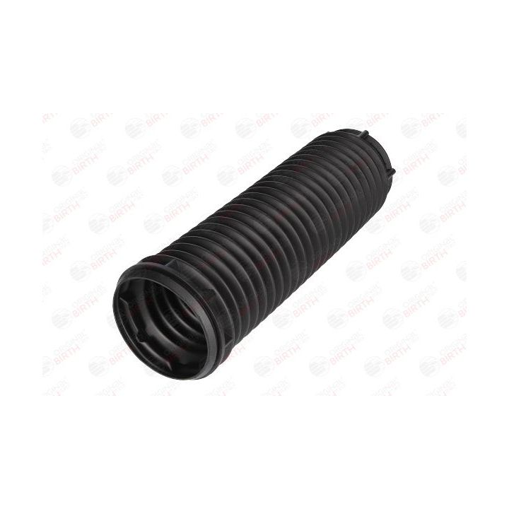 Apsauginis dangtelis/gofruotoji membrana, amortizatorius BIRTH 53231