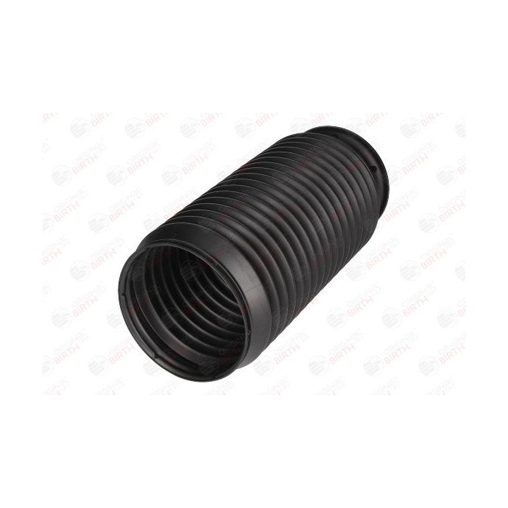 Apsauginis dangtelis/gofruotoji membrana, amortizatorius BIRTH 54297