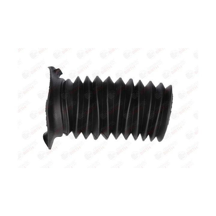 Apsauginis dangtelis/gofruotoji membrana, amortizatorius BIRTH 54307