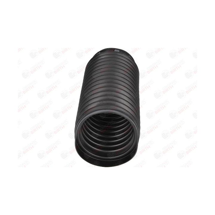 Apsauginis dangtelis/gofruotoji membrana, amortizatorius BIRTH 54323