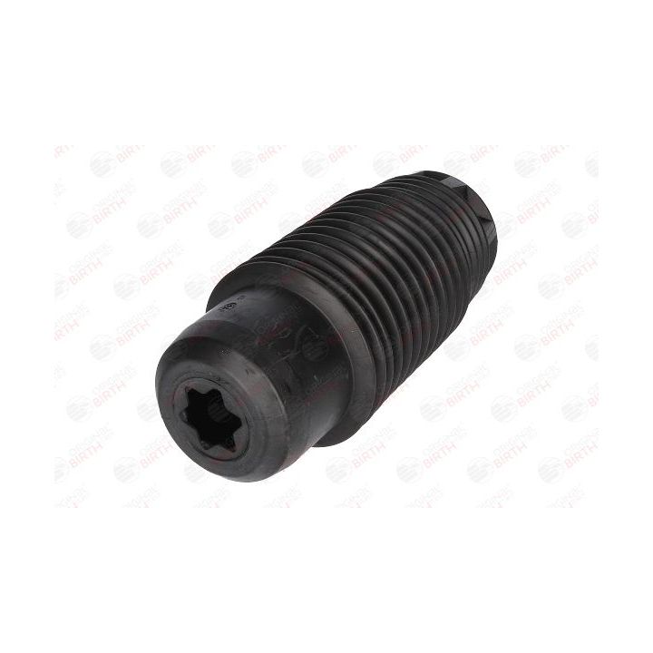 Apsauginis dangtelis/gofruotoji membrana, amortizatorius BIRTH 5894