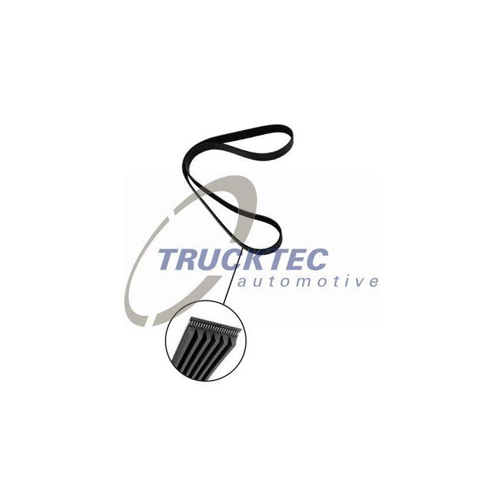 V formos rumbuoti diržai TRUCKTEC AUTOMOTIVE 02.19.258