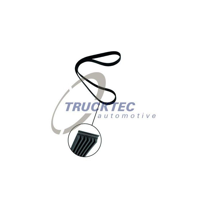 V formos rumbuoti diržai TRUCKTEC AUTOMOTIVE 02.19.342