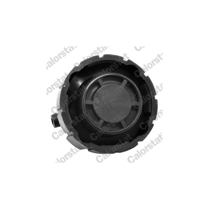 Dangtelis, radiatorius CALORSTAT by Vernet RC0026