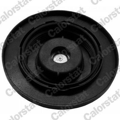 Dangtelis, radiatorius CALORSTAT by Vernet RC0157