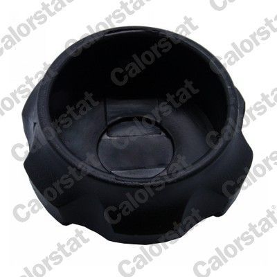 Dangtelis, radiatorius CALORSTAT by Vernet RC0161