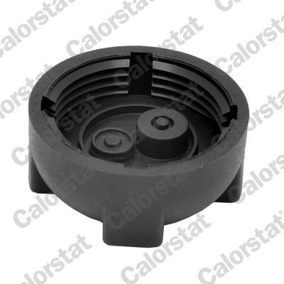 Dangtelis, radiatorius CALORSTAT by Vernet RC0172