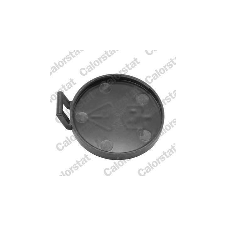 Dangtelis, radiatorius CALORSTAT by Vernet RC0182