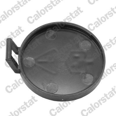 Dangtelis, radiatorius CALORSTAT by Vernet RC0182