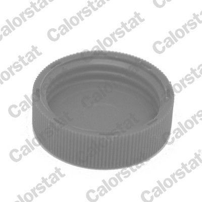 Dangtelis, radiatorius CALORSTAT by Vernet RC0184