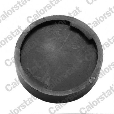 Dangtelis, radiatorius CALORSTAT by Vernet RC0195