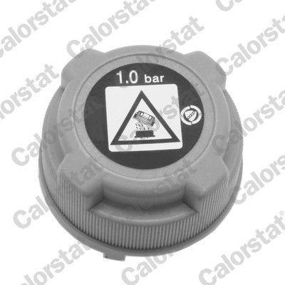 Dangtelis, radiatorius CALORSTAT by Vernet RC0197