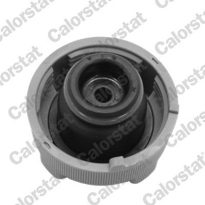 Dangtelis, radiatorius CALORSTAT by Vernet RC0197