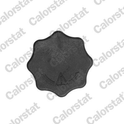 Dangtelis, radiatorius CALORSTAT by Vernet RC0198