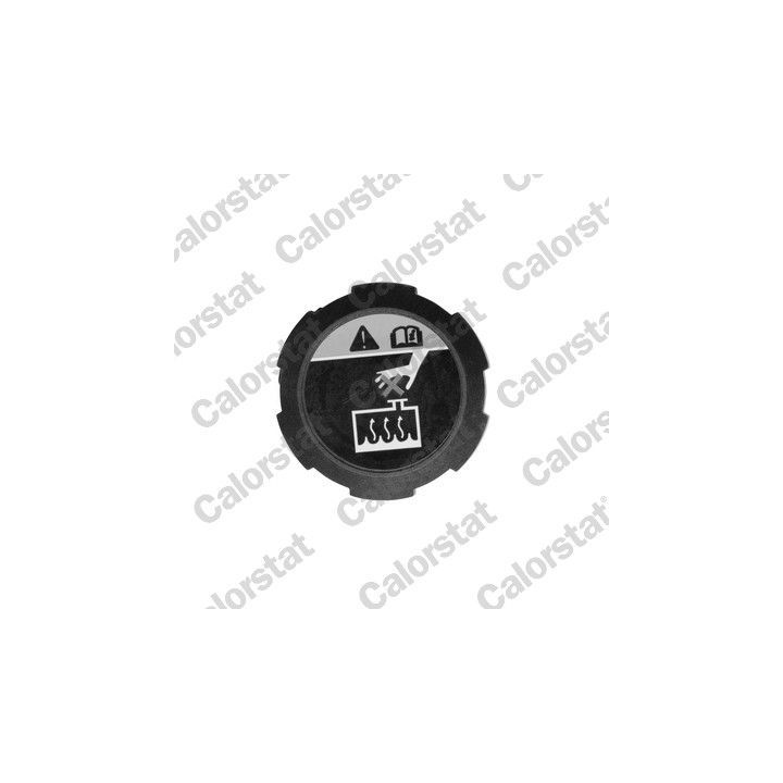 Dangtelis, radiatorius CALORSTAT by Vernet RC0200