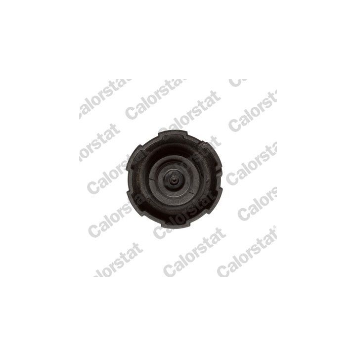 Dangtelis, radiatorius CALORSTAT by Vernet RC0200