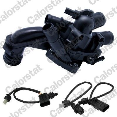 Termostatas, aušinimo skystis CALORSTAT by Vernet TEK7262.104J