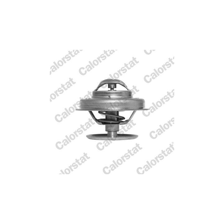 Termostatas, aušinimo skystis CALORSTAT by Vernet TH1183.87J