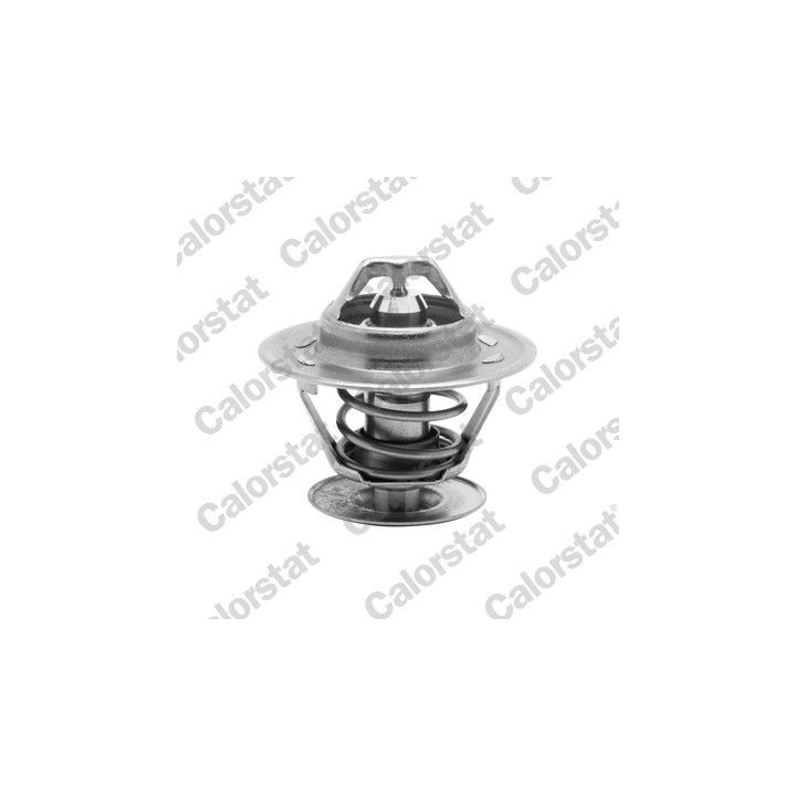 Termostatas, aušinimo skystis CALORSTAT by Vernet TH1335.87J